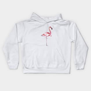 Flamingo Kids Hoodie